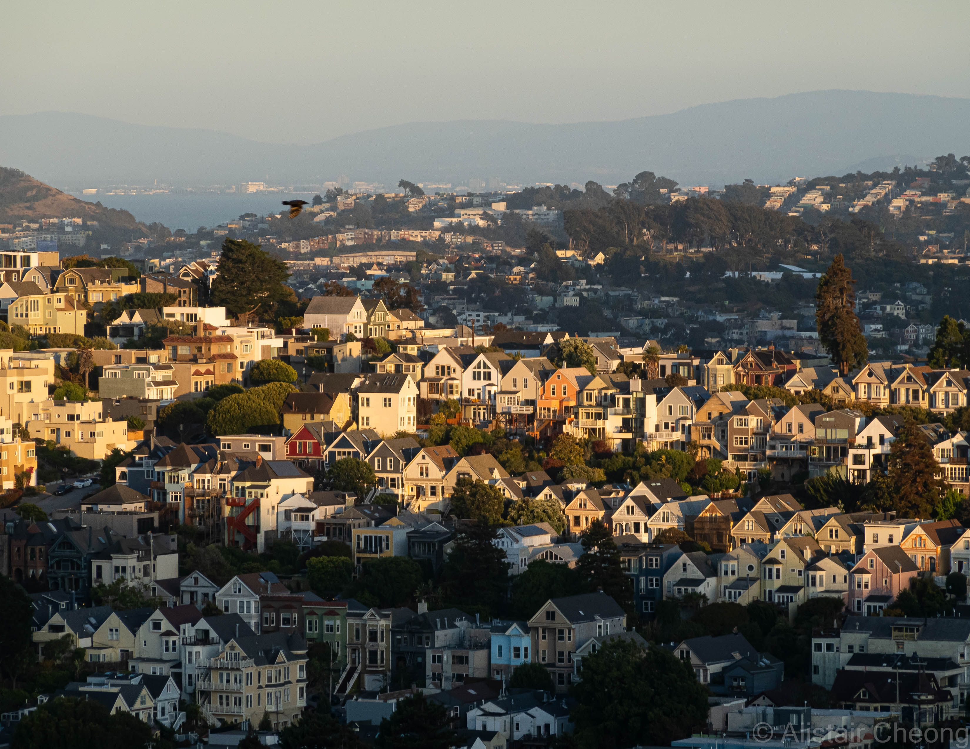 SF Houses